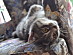 View full size picture