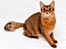 View full size picture