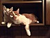 View full size picture