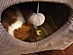 View full size picture