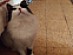 View full size picture
