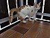 View full size picture