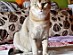 View full size picture