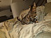 View full size picture