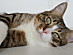 View full size picture