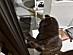 View full size picture