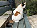 View full size picture