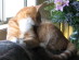 View full size picture