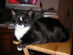 View full size picture