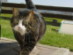 View full size picture