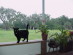 View full size picture