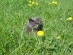 View full size picture