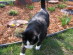 View full size picture