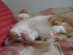 View full size picture