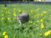 View full size picture