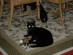 View full size picture