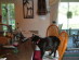 View full size picture
