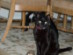 View full size picture