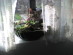 View full size picture