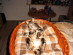 View full size picture