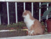 View full size picture
