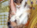 View full size picture