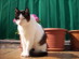 View full size picture