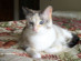 View full size picture
