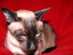 View full size picture