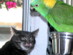 View full size picture