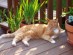 View full size picture