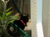 View full size picture