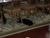 View full size picture