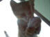 View full size picture