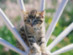 View full size picture