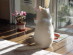 View full size picture