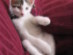View full size picture