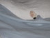 View full size picture