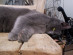 View full size picture