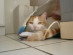 View full size picture