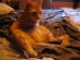 View full size picture