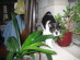 View full size picture