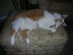 View full size picture