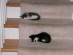 View full size picture