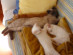 View full size picture