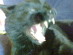 View full size picture