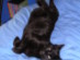 View full size picture