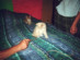View full size picture