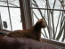 View full size picture