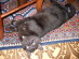 View full size picture